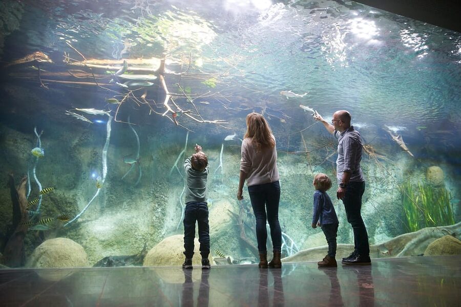 Leipzig Zoo: Entry Ticket - How to plan your time across six worlds
