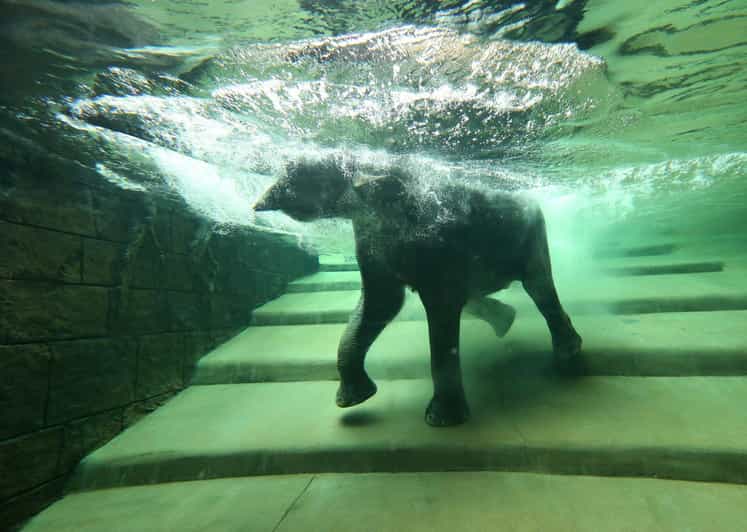 Leipzig Zoo: Entry Ticket - Start with Gondwanaland’s tropical forest