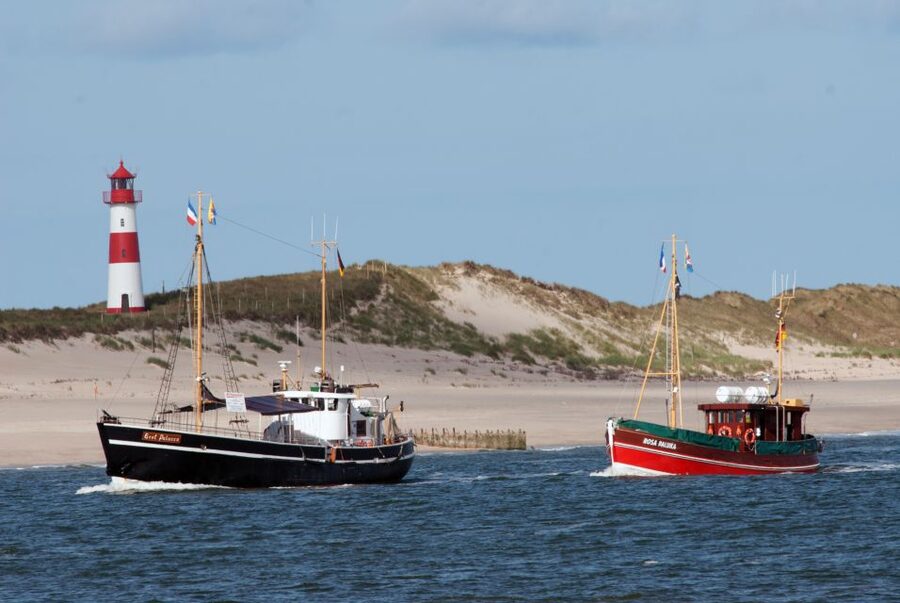 List/Sylt: Guided Seal-Watching Cruise on a Rustic Boat - Setting out from List Harbor
