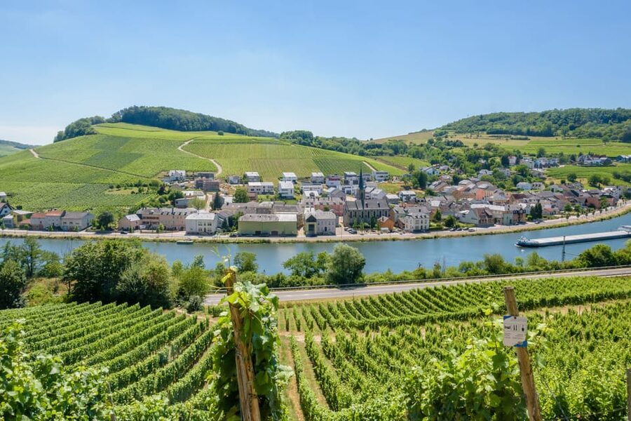 Luxembourg: Moselle Day Trip with Wine Tasting and Boat Tour - Two afternoon cellar visits from 13:30 to 16:30