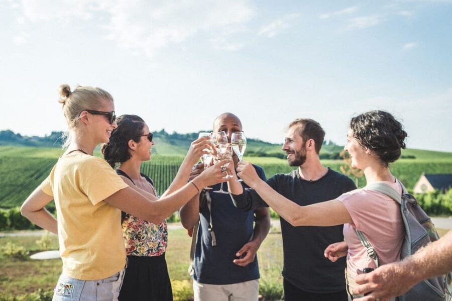 Luxembourg: Moselle Day Trip with Wine Tasting and Boat Tour - The audio guide and the lack of a live guide
