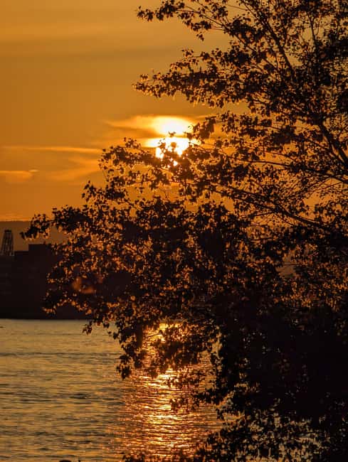 Mainz: guided evening tour of the Rhine embankment/old town in German and English - Key points at a glance