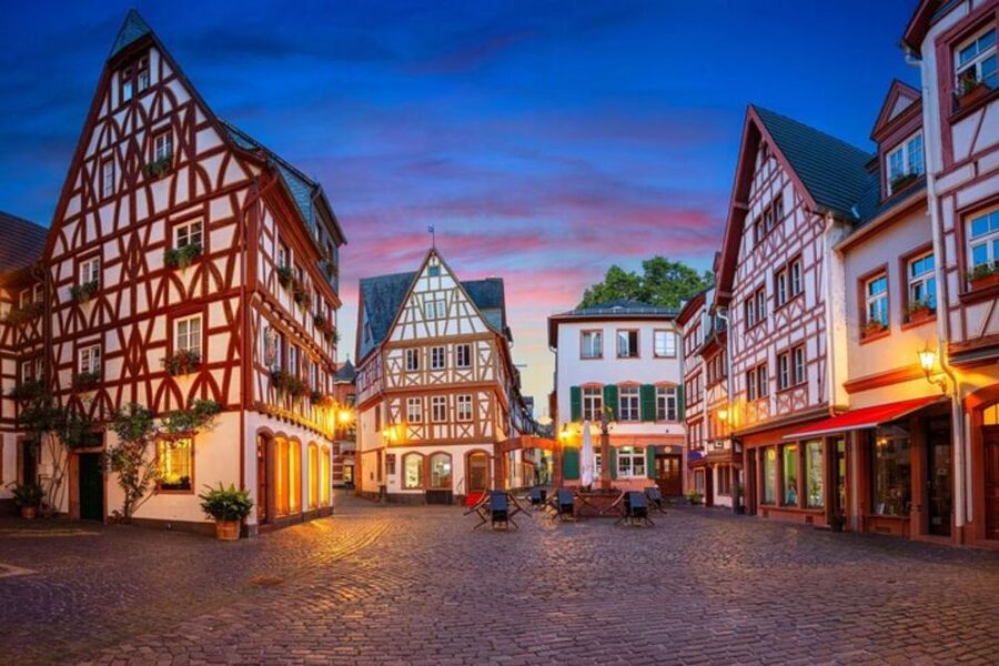 Mainz: Private custom tour with a local guide - Guide quality: the most important variable