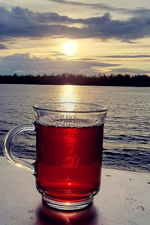 Mulled wine ride in the Leipzig New Zealand - Key points to know before booking
