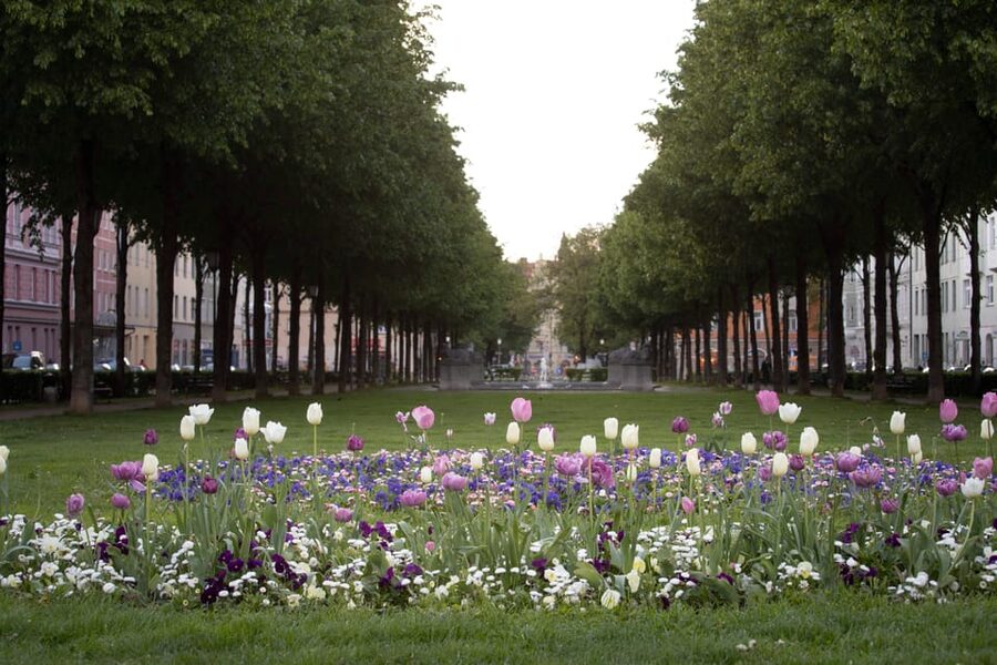 Munich: 3-Hour Food Tour Through Haidhausen in GERMAN - The French Quarter adds a change of mood