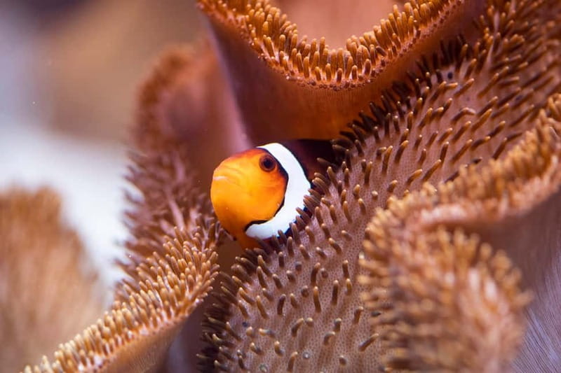 Munich: Day Ticket to Sea Life - Key points to know before you go