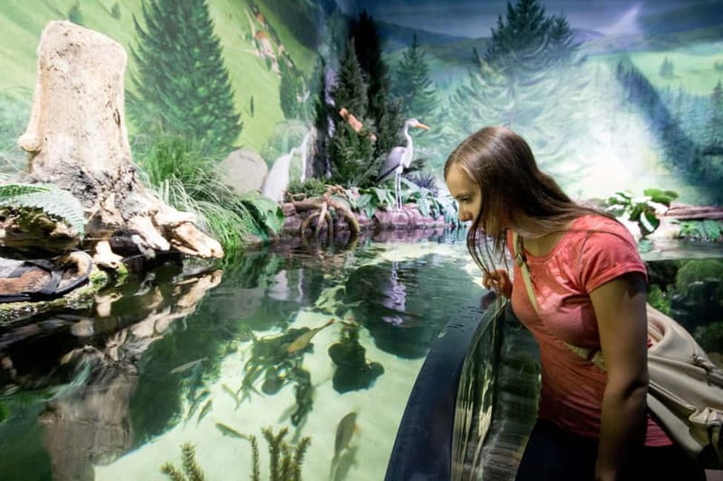 Munich: Day Ticket to Sea Life - How to get the most from the 12 areas
