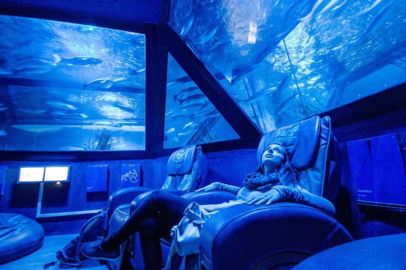 Munich: Day Ticket to Sea Life - Tropical Island has more than fish