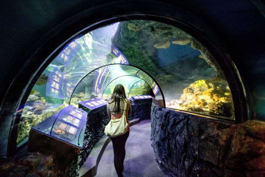 Munich: Day Ticket to Sea Life - What the visit is like for families