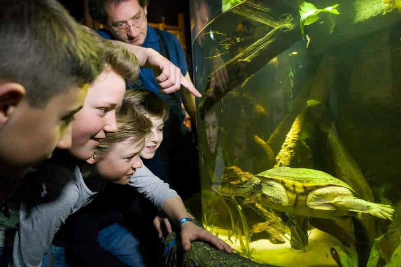 Munich: Day Ticket to Sea Life - The shark collection is the main event