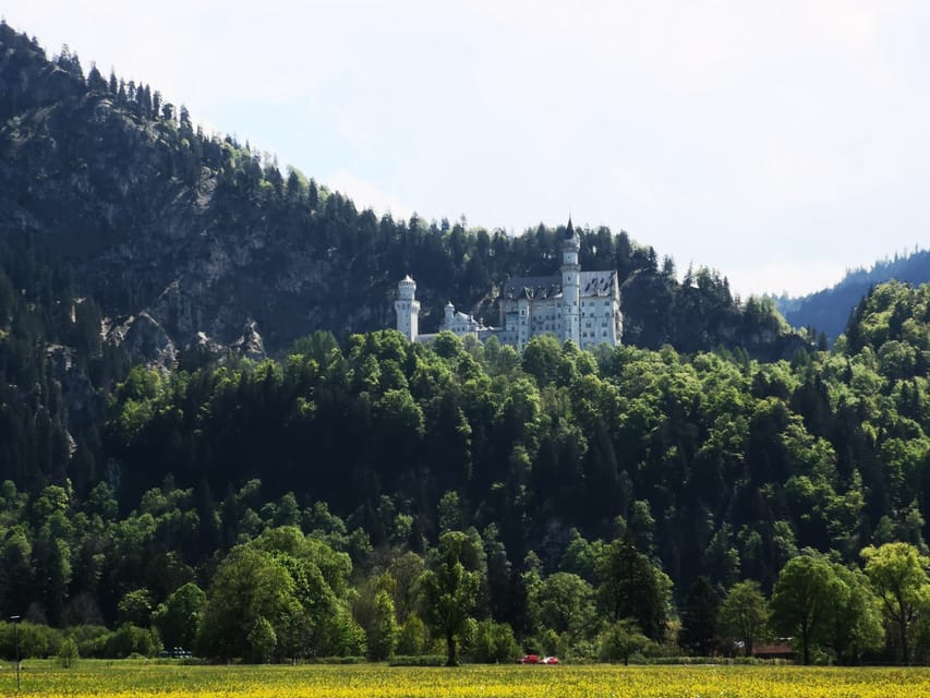 Munich: Neuschwanstein Castle by Bus with Alpine Bike Ride - Swimming in a Bavarian lake