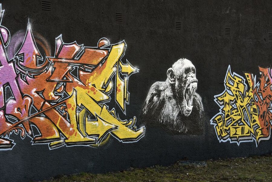 Munich: Street Art Bike Tour - The slaughterhouse district and a break by the railway bridge