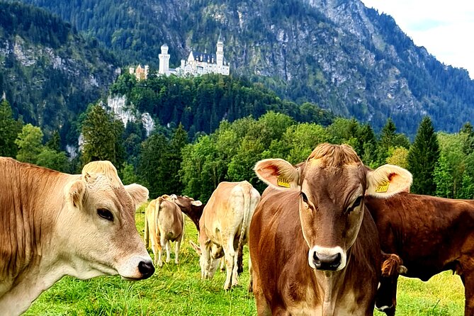 Neuschwanstein Castle Tour with Skip the Line from Hohenschwangau - Walking from the bridge to Neuschwanstein