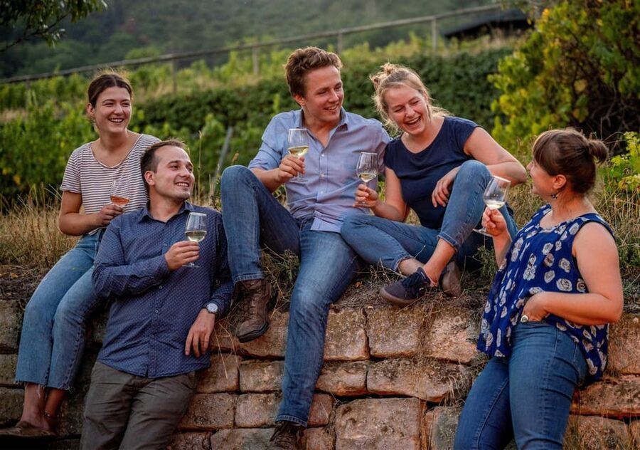 Neustadt: Wine tasting with cellar tour and vineyard visit - A Palatinate tasting with a working family feel