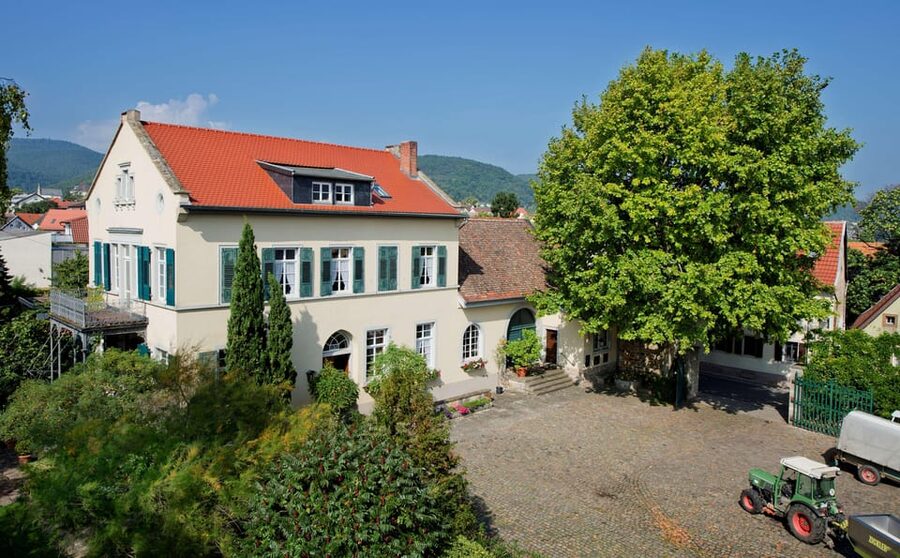 Neustadt: Wine tasting with cellar tour and vineyard visit - Start with sparkling wine, then work through six still wines