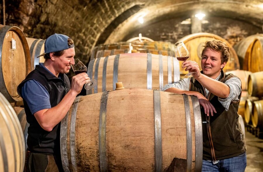 Neustadt: Wine tasting with cellar tour and vineyard visit - Should you book the Stolleis wine tasting?