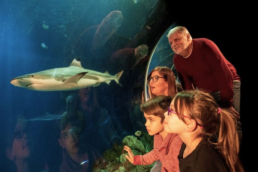 Oberhausen: LEGOLAND Discovery Centre and SEA LIFE Ticket - Who gets the best value from the $38 ticket