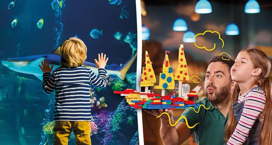 Oberhausen: LEGOLAND Discovery Centre and SEA LIFE Ticket - The shark nursery is the main SEA LIFE event