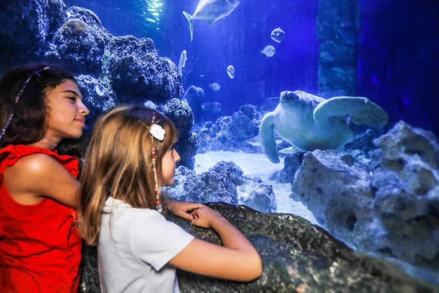Oberhausen: SEA LIFE Oberhausen Entry Ticket - Why SEA LIFE Oberhausen works well for a family day