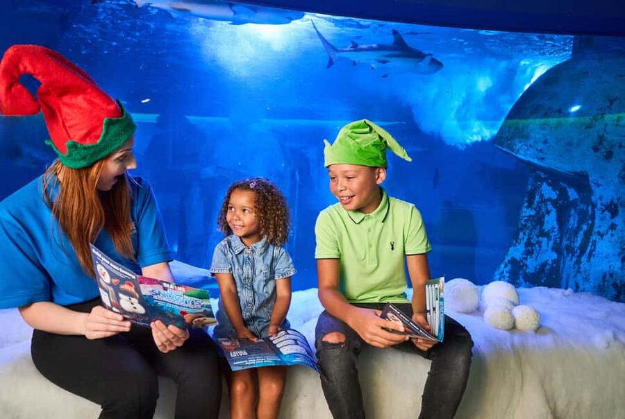 Oberhausen: SEA LIFE Oberhausen Entry Ticket - Turtles, rays, and daily feeding sessions