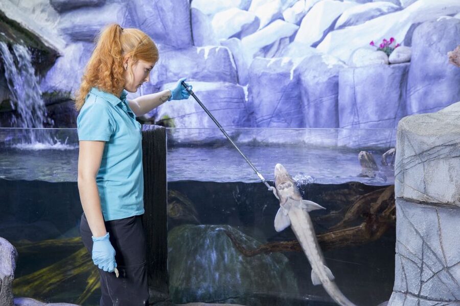 Oberhausen: SEA LIFE Ticket and Behind the Scenes Tour - Access, timing, and practical details