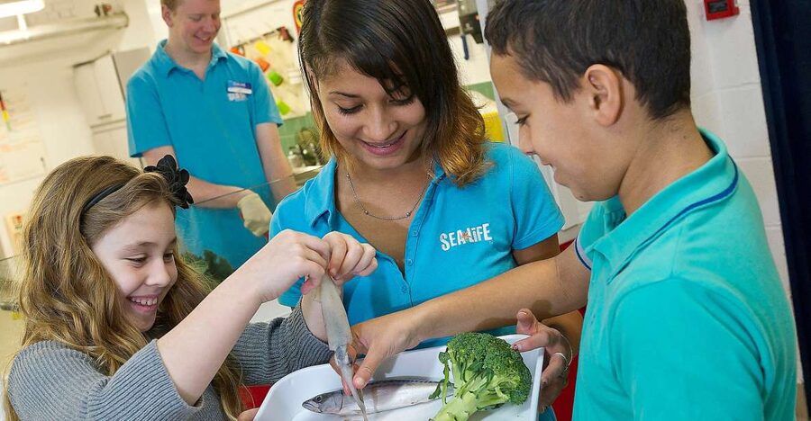 Oberhausen: SEA LIFE Ticket and Behind the Scenes Tour - Finding the meeting point at the far end