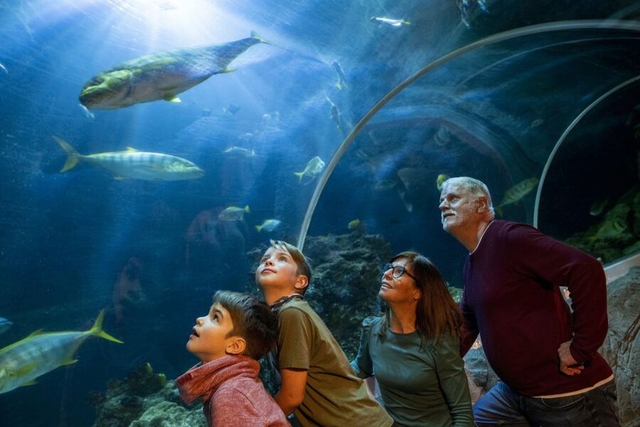 Oberhausen: SEA LIFE Ticket and Behind the Scenes Tour - How much do you really see behind the scenes?