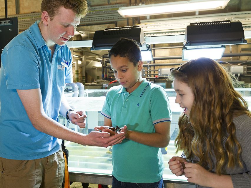 Oberhausen: SEA LIFE Ticket and Behind the Scenes Tour - Who should book this experience?