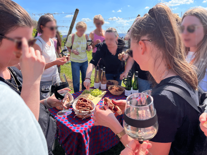 Premium wine hike Stuttgart with games and winemaker's snack - Practical planning before you go