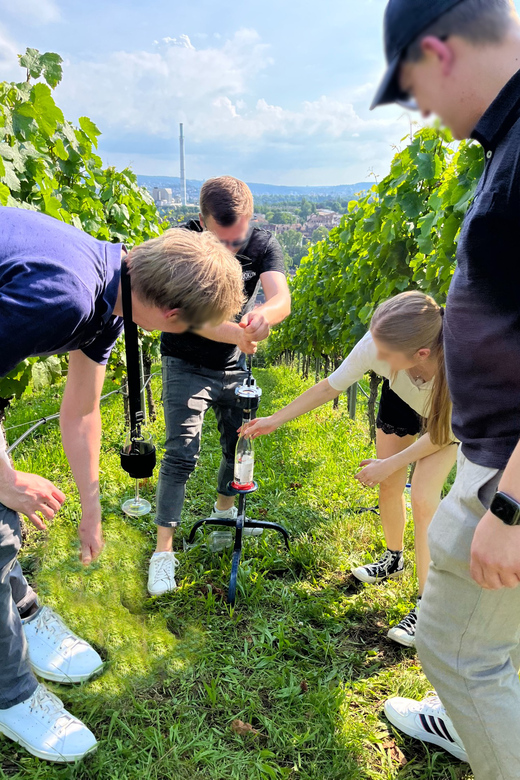Premium wine hike Stuttgart with games and winemaker's snack - How the guides shape the experience