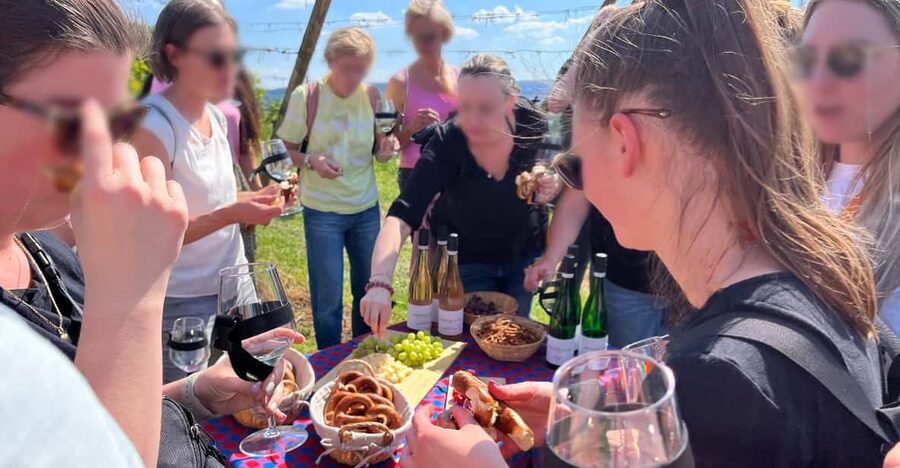 Premium wine hike Stuttgart with games and winemaker's snack - Is $41 a good value?
