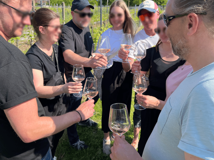 Premium wine hike Stuttgart with games and winemaker's snack - Five wines with Stuttgart in the glass