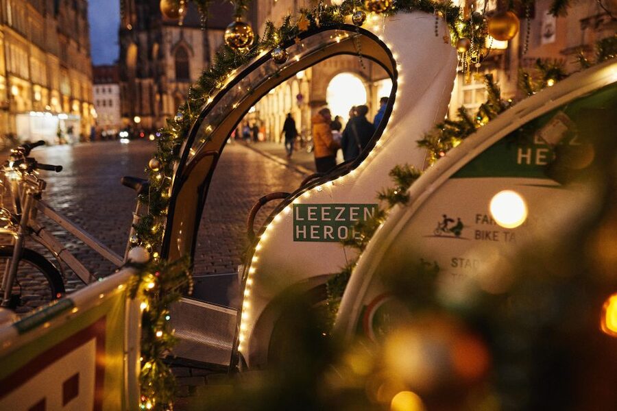 Private Christmas Tour in Münster including Glühwein - What the guide can add to your hour