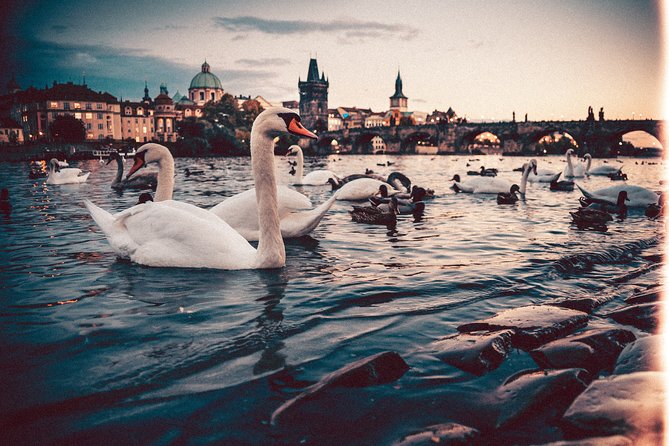 Private Transfer from Berlin to Prague with 2h of Sightseeing - Should you book it?