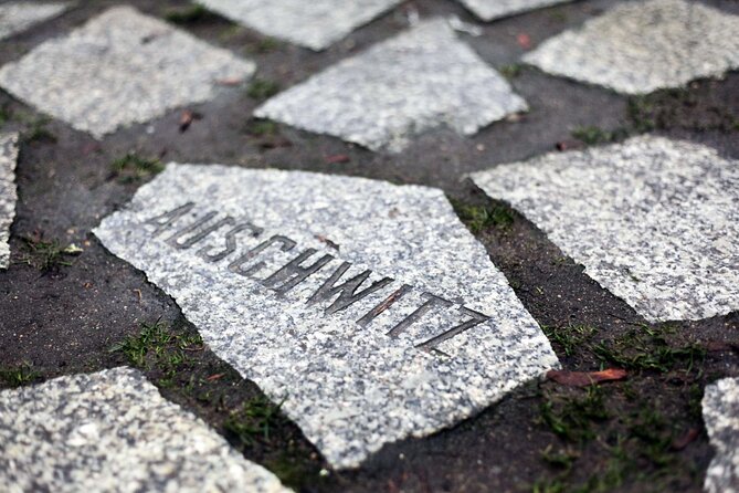 Private Walking Tour in Berlin: Hitler's Germany & WWII - The Holocaust Memorial and the meaning of public memory