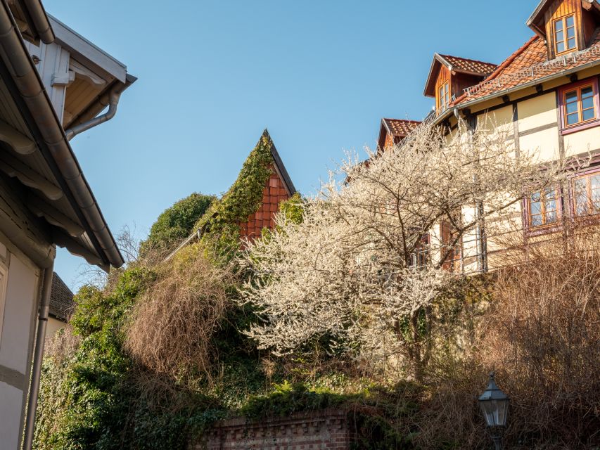 Quedlinburg: Guided City Highlights Walking Tour - Follow 1,100 years from Henry I to today