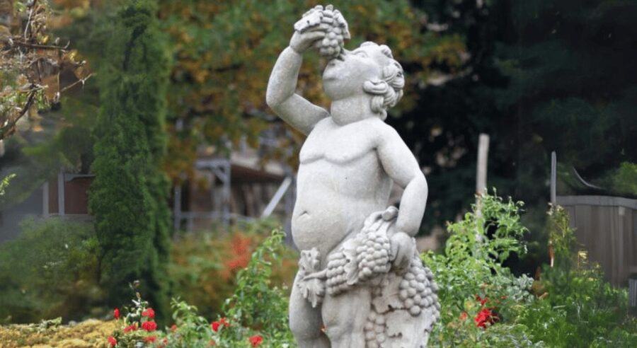 Quedlinburg UNESCO World Heritage Group Tour (private) - Is $117 good value for up to 12 people?