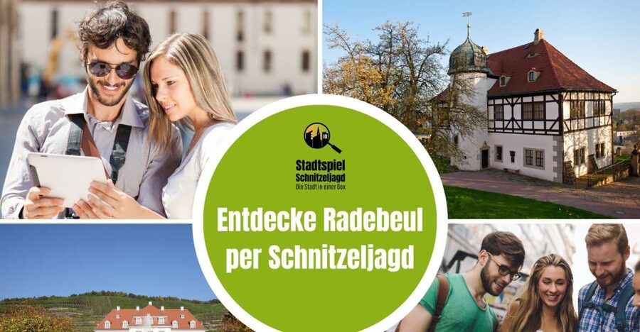 Radebeul: Scavenger Hunt Self Guided Tour - Wackerbarth Palace and the wine estates