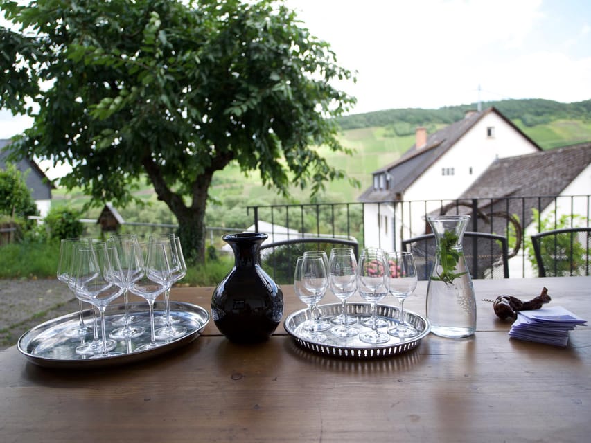 Reil, Mosel: Guided organic wine tasting and cellar tour - Is $29 a fair price for two hours?