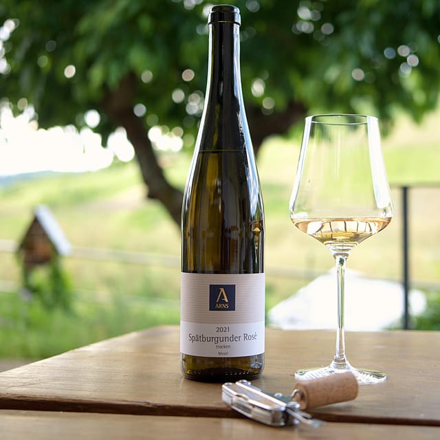 Reil, Mosel: Guided organic wine tasting and cellar tour - Who will enjoy this most?
