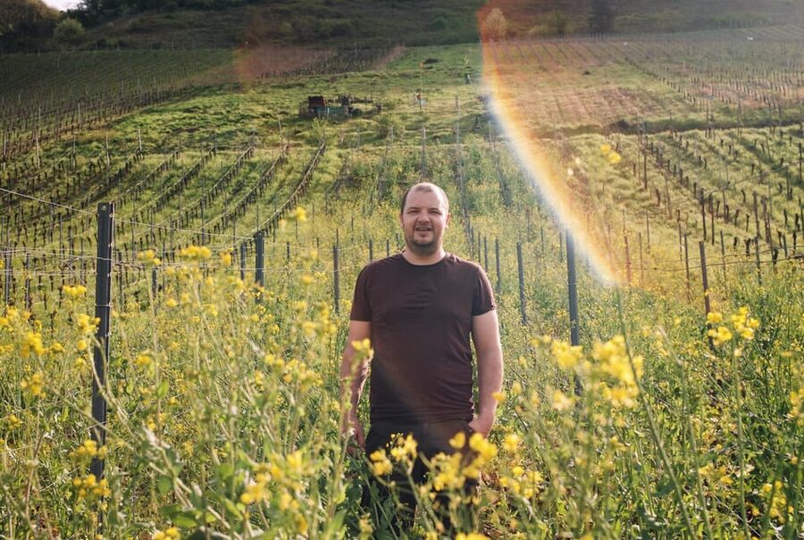 Reil, Mosel: Guided organic wine tasting and cellar tour - Planning your visit to Kringstraße 36