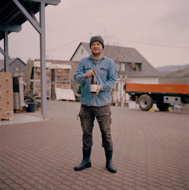 Reil, Mosel: Guided organic wine tasting and cellar tour - Walking the organic vines for one hour