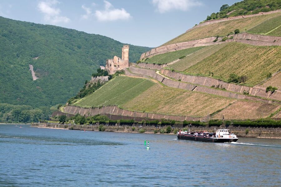 Rhine Valley Castles: 1.5-Hour Boat Tour from Rüdesheim - How to plan your seat and timing