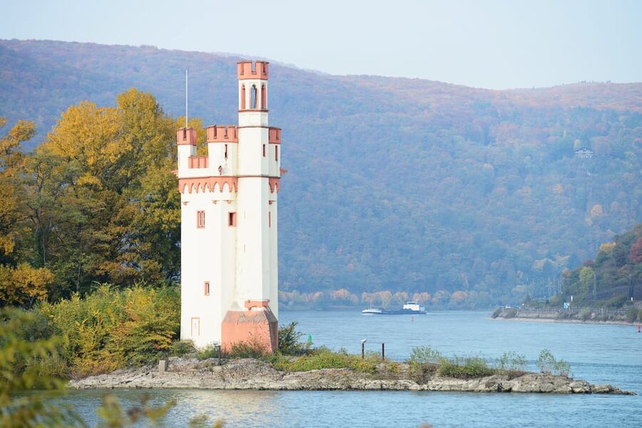 Rhine Valley Castles: 1.5-Hour Boat Tour from Rüdesheim - Ehrenfels ruins and the Mouse Tower at Binger Loch