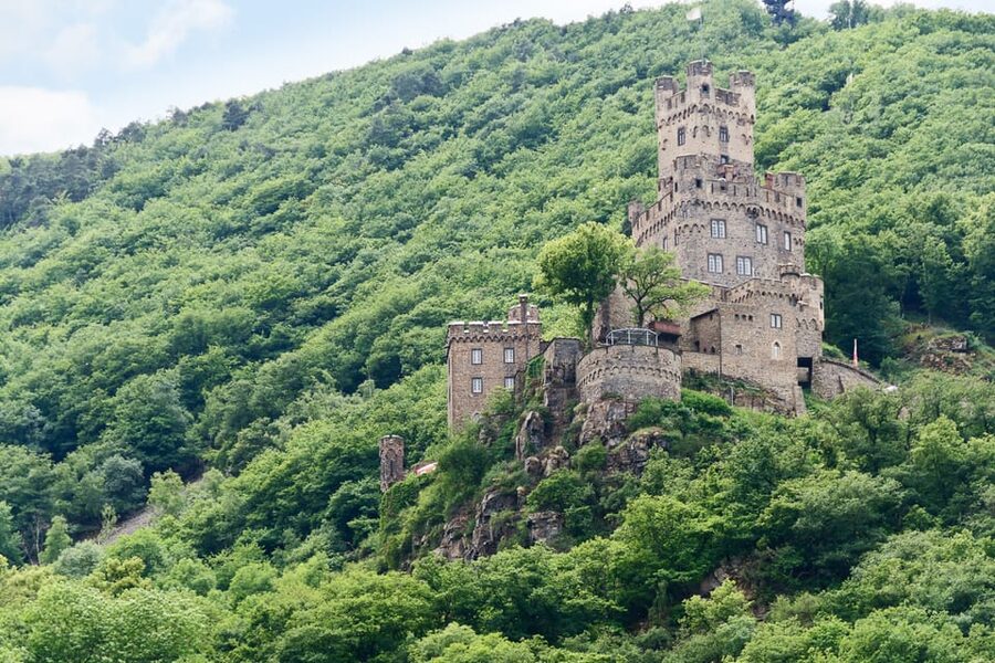 Rhine Valley Castles: 1.5-Hour Boat Tour from Rüdesheim - Bingen, Klopp Castle, and the return toward Rüdesheim