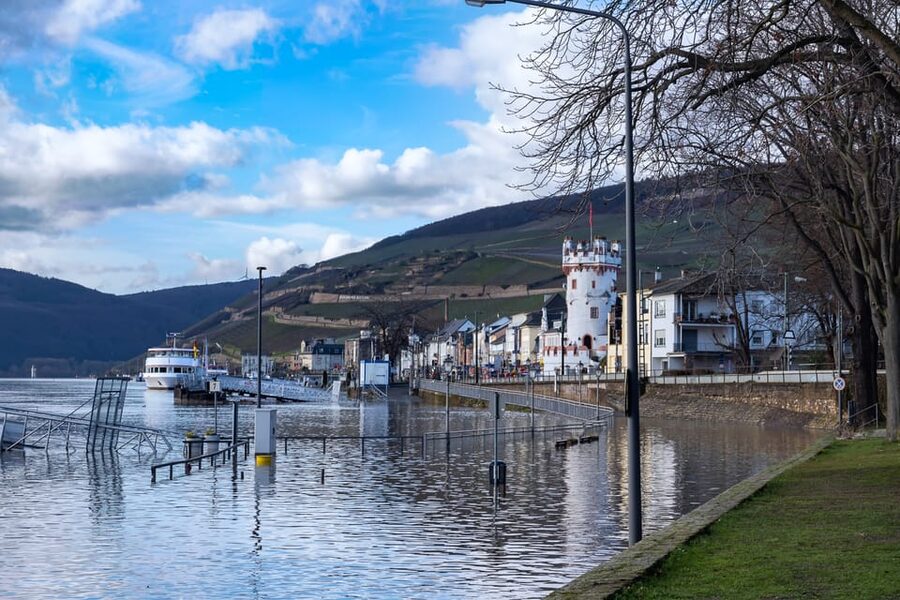 Rhine Valley Castles: 1.5-Hour Boat Tour from Rüdesheim - Niederwald Monument and the upper Rhine views