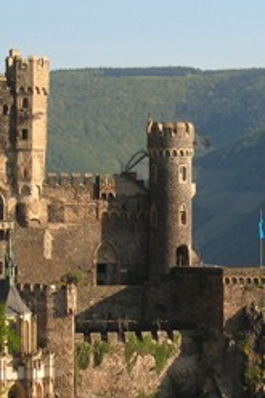 Rhine Valley Castles: 1.5-Hour Boat Tour from Rüdesheim - Leaving Rüdesheim with vineyards on both sides