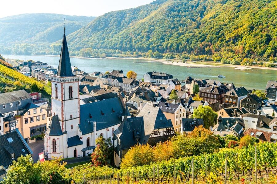 Rhine Valley: Half Day Tour from Frankfurt - Wine growing from Roman times to today