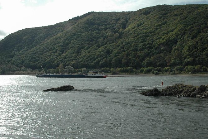 Rhine Valley Trip from Frankfurt including Rhine River Cruise - The steamer cruise is the day’s main event