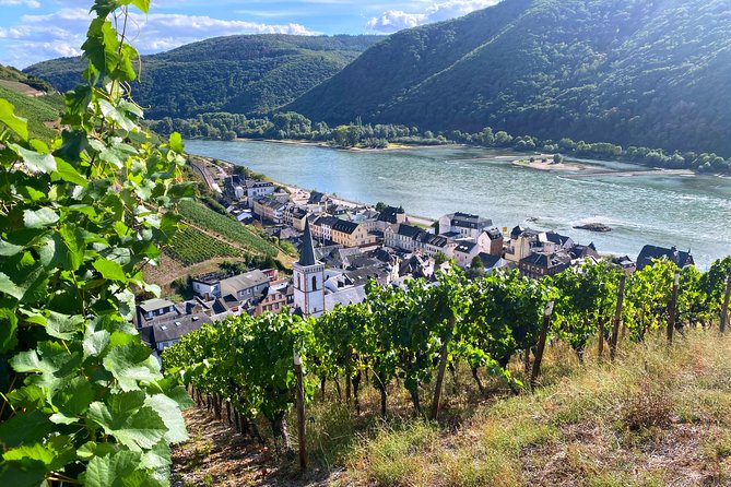 Rhine Valley Wine Tasting Tour from Frankfurt and Mainz - Key points to know before you book